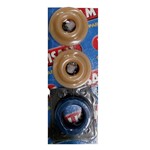 KIT GUARNIZIONI FLASH PICKER LISAM - MG KIT GUARNIZIONI FLASH PICKER LISAM - MG