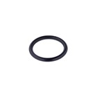 O-RING 23,81X2,62 1" ANNOVI REVERBERI